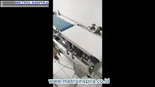Minebea Intec - Checkweigher Essentus L Performance 600g
