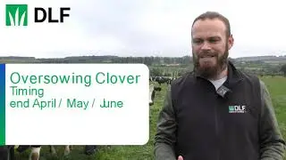 Oversowing white clover and managing clover content in the sward with DLF