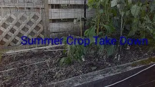Summer Crop Take Down
