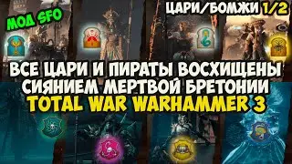 все ЦАРИ и ПИРАТЫ восхищены сиянием мертвой БРЕТОНИИ В TOTAL WAR Warhammer 3