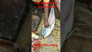 Fish Cutting vizag fishing port, Visakhapatnam fishing Harbour #fishcutting #vizag #fishing #fish