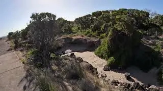 Port Fairy | Victoria | Griffiths Island | 4K | Complete Walk Tour