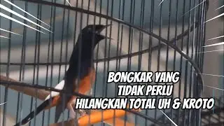 SETINGAN STABIL SEPANJANG MASA !! SIMAK ULASANYA DARI KASUS SIANIDA