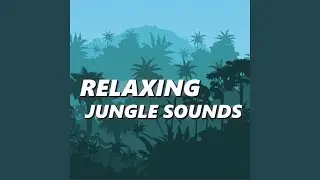 Compelling Jungle Sounds