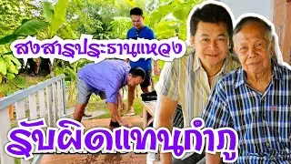 สงสารพ่อแหวงรับผิดแทนกำภู #บ้านสวนกำภูEP848