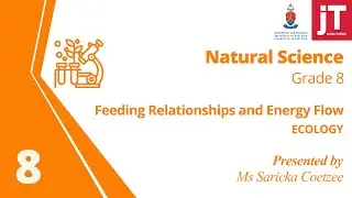 Gr 8 Natural Science - Ecology - Feeding Relationships and Energy Flow