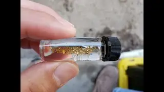 Pocket GOLD on Clear Creek Colorado.