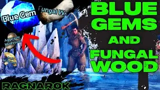 Blue Gems and Fungal Wood LOCATION on RAGNAROK in ASA!!!