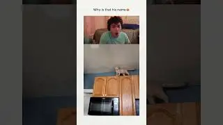 Имя 😂❤️
