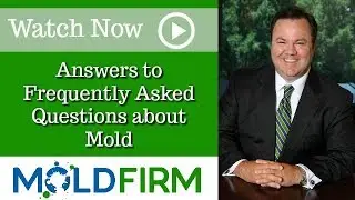 What is a Mold Intake Process? | David Carter | Toxic Mold Lawyer Atlanta | Mold Attorneys