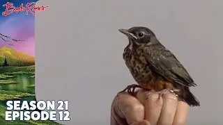 Bob Ross - Lone Mountain (Season 21 Episode 12)
