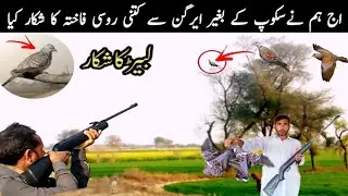 airgun hunting in pakistan / russian dove hunting with pellet gun / fakhta ka shikar  very munda