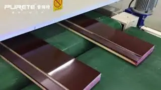 Wooden Door coating by UV roller coater