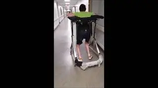 Adam has cerebral palsy and walks again with the Second Step Gait Harness System2
