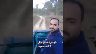 Jim Corbett jungle safari part 4 #song #music #bollywood #newsong #love #reels #trending #travel