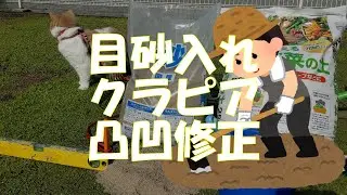 クラピアの不陸を目砂を使って修正してみよう