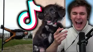 Ludwig Reacts to Tik Toks that aren't actually tik toks