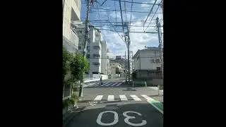 ginseng + misogi type beat 2025 