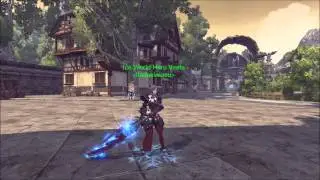 RaiderZ ThunderBrand GS