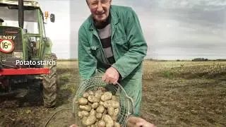 Biobased Economy to a Next Level
