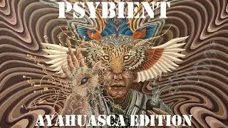 Ethnic PsyBient Ayahuasca Edition/ Relaxing Music / Sounds of Nature / Psychill / Ambient