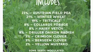 Seven days after spreading cover crop seed from Mountain Valley Seed Company