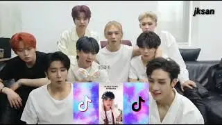 STRAY KIDS REACCIONA A TIK TOK PRIVE