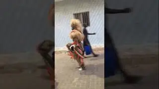 Faux lion S&eacute;n&eacute;gal tek