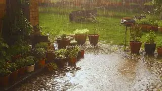 a quiet playlist for a rainy day 🌧️（soft piano for reading, studying & relaxing）