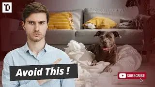 The Big Mistake You&rsquo;re Making With Your Dog&rsquo;s Behavior