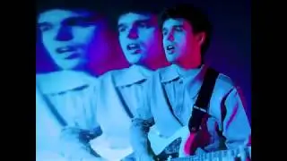Fake Laugh - On Loop (Official Video)