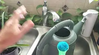Review of Miracle-Gro  All Purpose Plant Food  w/ proof it works
