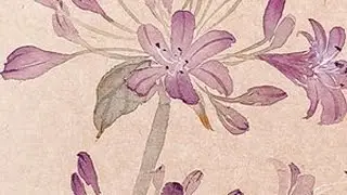 第113集|一学就会的百子莲教程来啦#国画教程 #零基础学画画 #一学就会系列 #感受国画的意境之美 #青年创作者成长计划