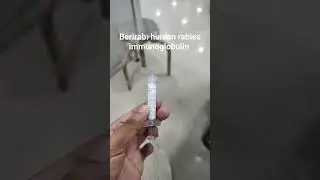 Berirab immunoglobulin for. Dog bites