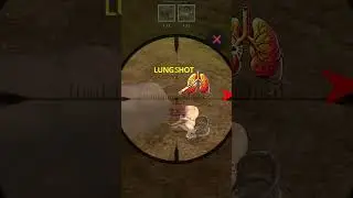 Animal hunting pt 64  #caniearnmoneybyplayingpubg #games #howtogrowyourpubggamingchannelfast #gaming