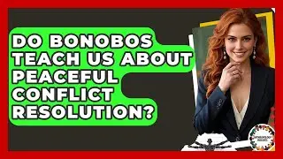 Do Bonobos Teach Us About Peaceful Conflict Resolution? - Anthropology Insights