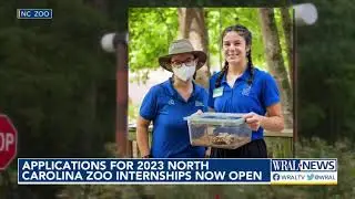 NC Zoo taking internship applications for 2023