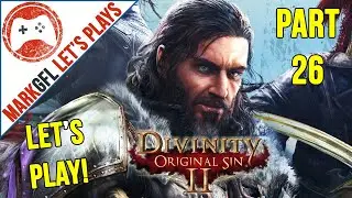 Let's Play Divinity: Original Sin 2 - First Playthrough - part 26