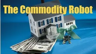 The Commodity Robot - Steve H + Mike S | The Commodity Robot Video Review