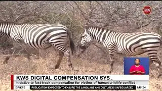KWS digital compensation Initiative to fast-track compensation for human-wildlife conflict victims