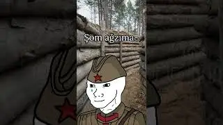 M&uuml;ttefiklerin King Tiger korkusu #ww2 #wojak #germany