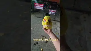 I'd do it for free too!