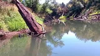 2018 8 7 Tualatin River - From Rood Bridge Park to Farmington Paddle Launch