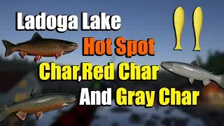 🎣Russian Fishing 4 RF4 - Ladoga Lake Char,Red Char and Gray Char Spot