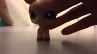 LPS Contest {OPEN}