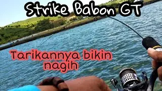 Strike Babon GT di Dermaga Awang, Reel Menangis