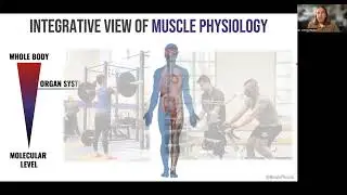 Muscle Physiology Lab - Research Talk (10y Lab Anniversary)