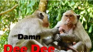 Concern Baby Jilla Will Get Serious Abuse From Dee Dee More | Dee Dee Is Bad Evil Do Bad 0n Jilla.