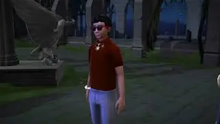 Hogwarts Mystery: Becoming an Animagus!