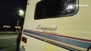 Egg Gang Pay Captain Content A Visit